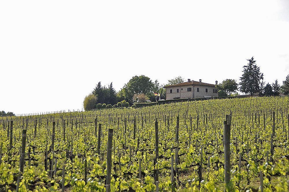Il Colombaio, Siena -Appartamenti E Camere- Isola d'Arbia Dış mekan fotoğraf