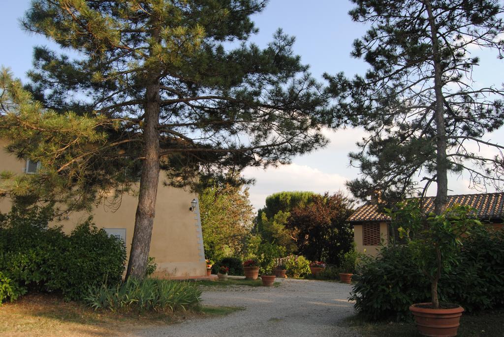 Il Colombaio, Siena -Appartamenti E Camere- Isola d'Arbia Dış mekan fotoğraf
