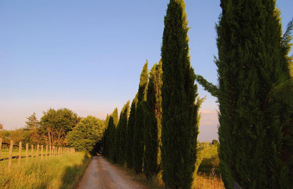 Il Colombaio, Siena -Appartamenti E Camere- Isola d'Arbia Dış mekan fotoğraf