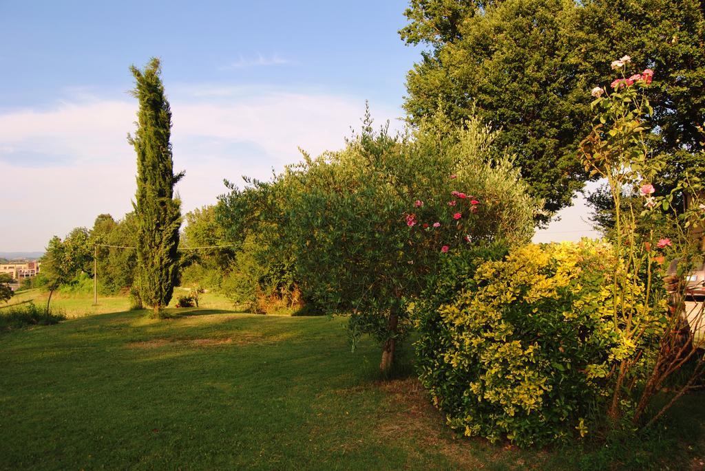 Il Colombaio, Siena -Appartamenti E Camere- Isola d'Arbia Dış mekan fotoğraf