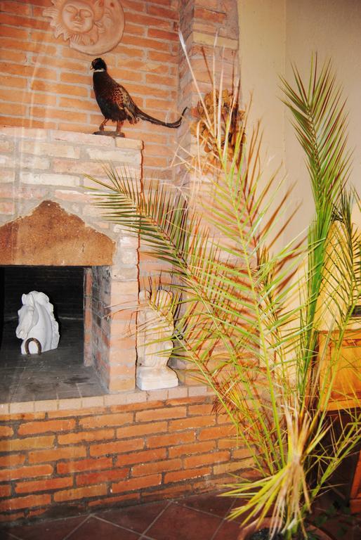Il Colombaio, Siena -Appartamenti E Camere- Isola d'Arbia Dış mekan fotoğraf